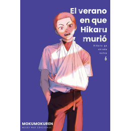 El verano en que Hikaru...