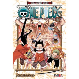 One Piece tomo 43 (Ivrea...